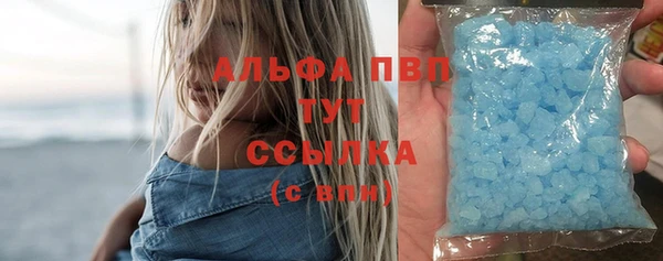 ГАЛЛЮЦИНОГЕННЫЕ ГРИБЫ Елабуга
