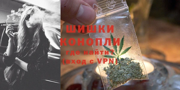Альфа ПВП Ельня