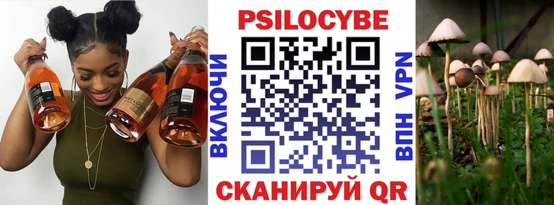 Псилоцибиновые грибы Psilocybe  цена   Качканар 